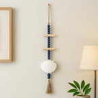 Driftwood seashell wall hanging for Home Decor wall hanging Sea Shells - Hadi Craft