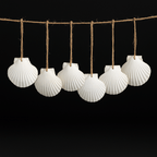Natural scallop shell ornaments 16PCS for home decor - Hadi Craft