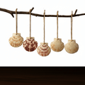 Natural scallop shell ornaments Sea Shells With Rope for Home Decor - Hadi Craft
