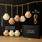 Natural scallop shell ornaments Sea Shells With Rope for Home Decor - Hadi Craft