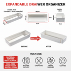 Infographic Size Details